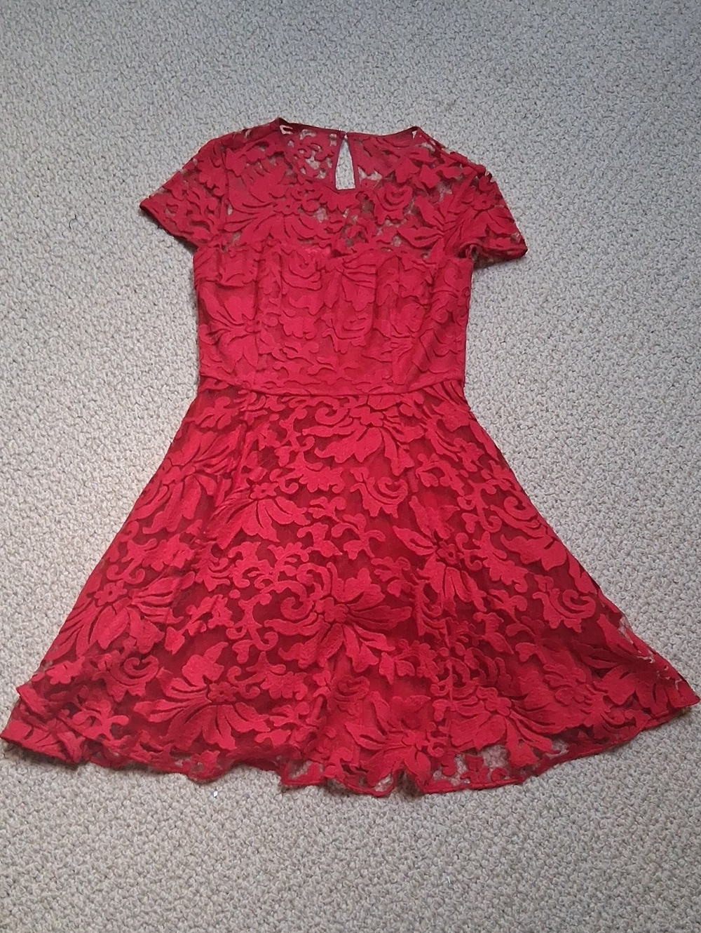 Ted Baker Red Lace Fit & Flare Dress